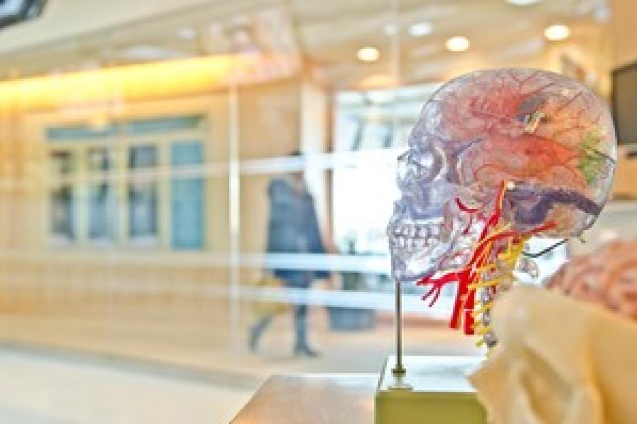 The Inflamed Brain