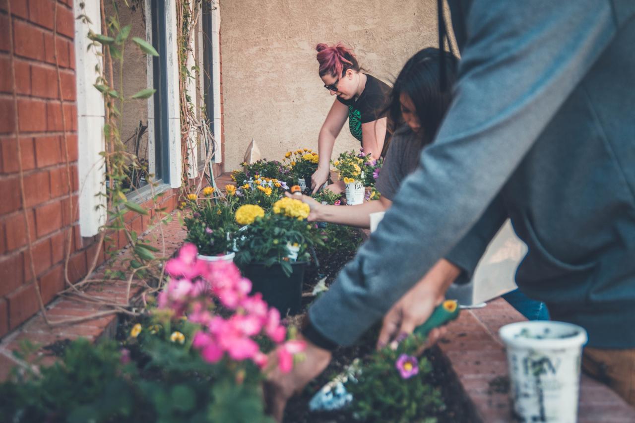 Horticultural Therapy