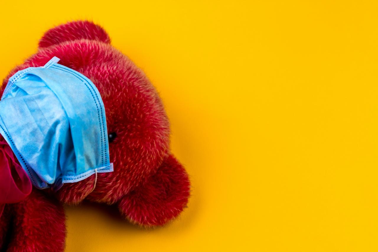 bear wearing a mask