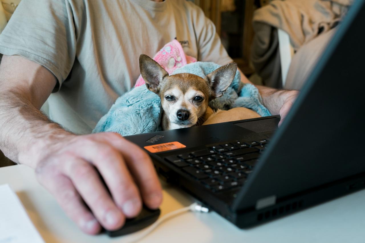 working from home