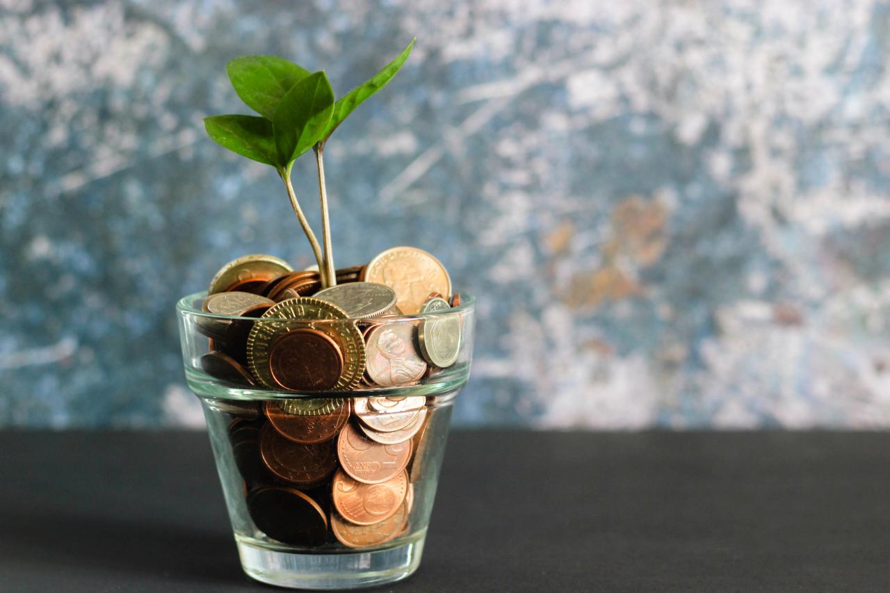 plant growing out of a pot of pennies