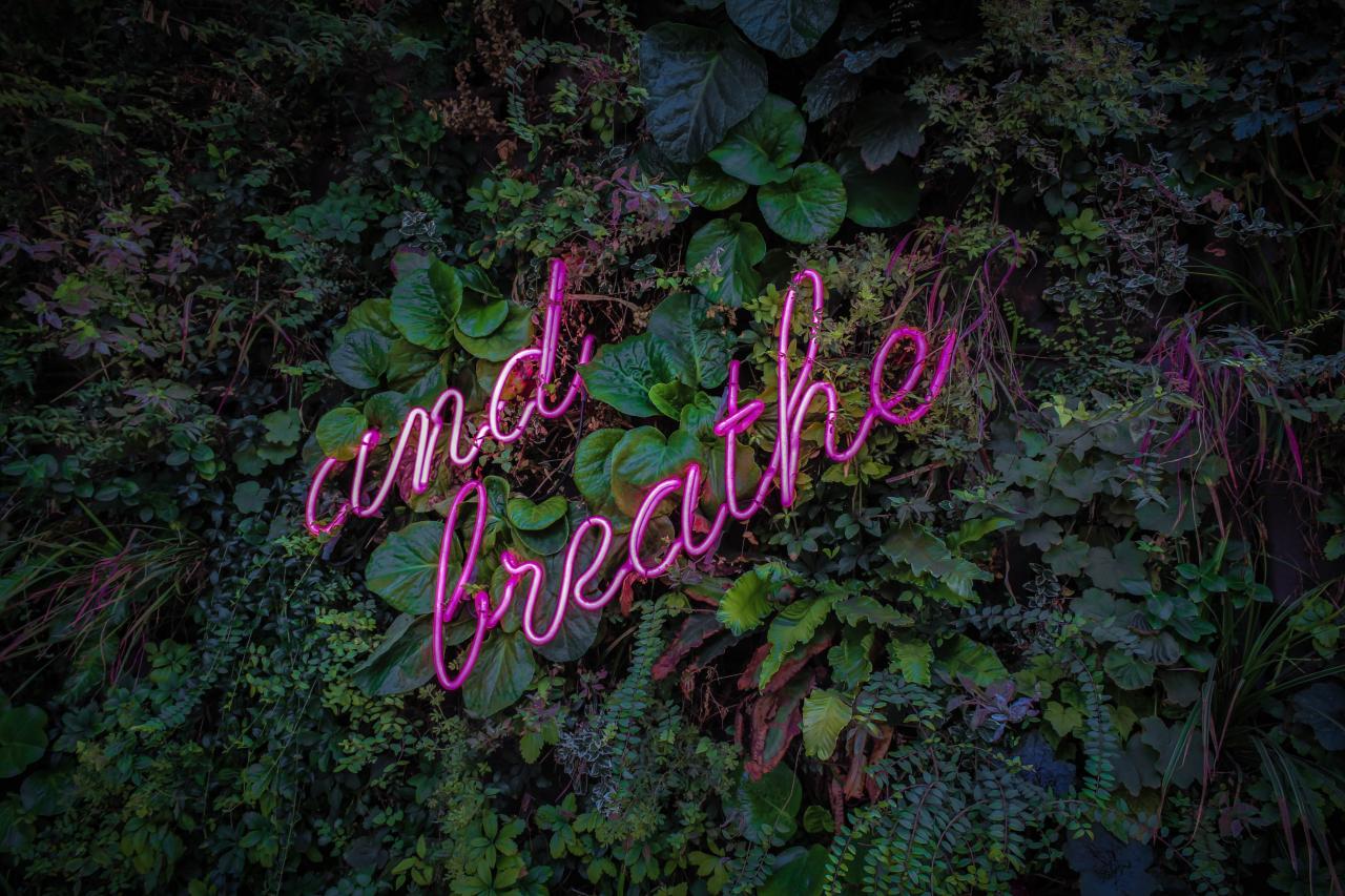 neon lights that read, "and breathe"
