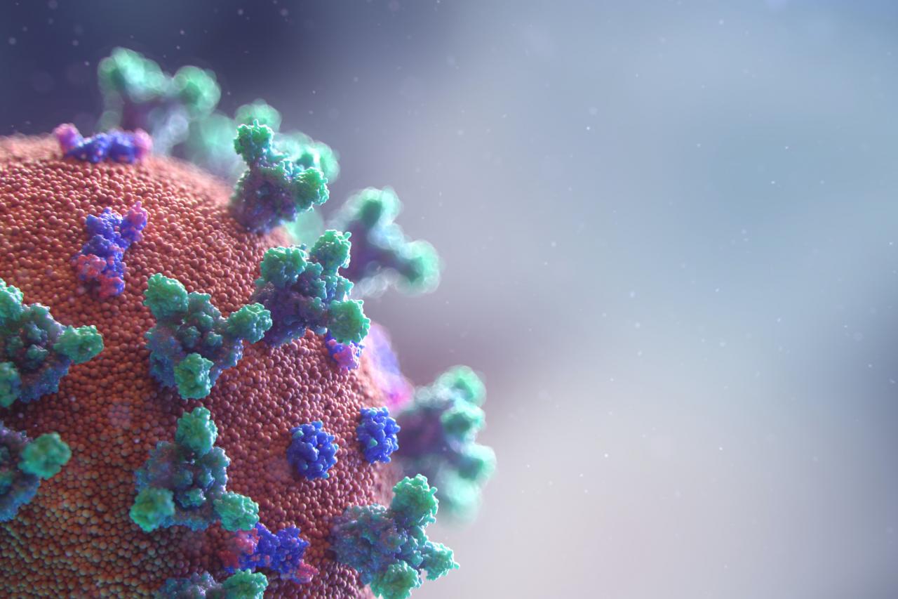 model image of coronavirus