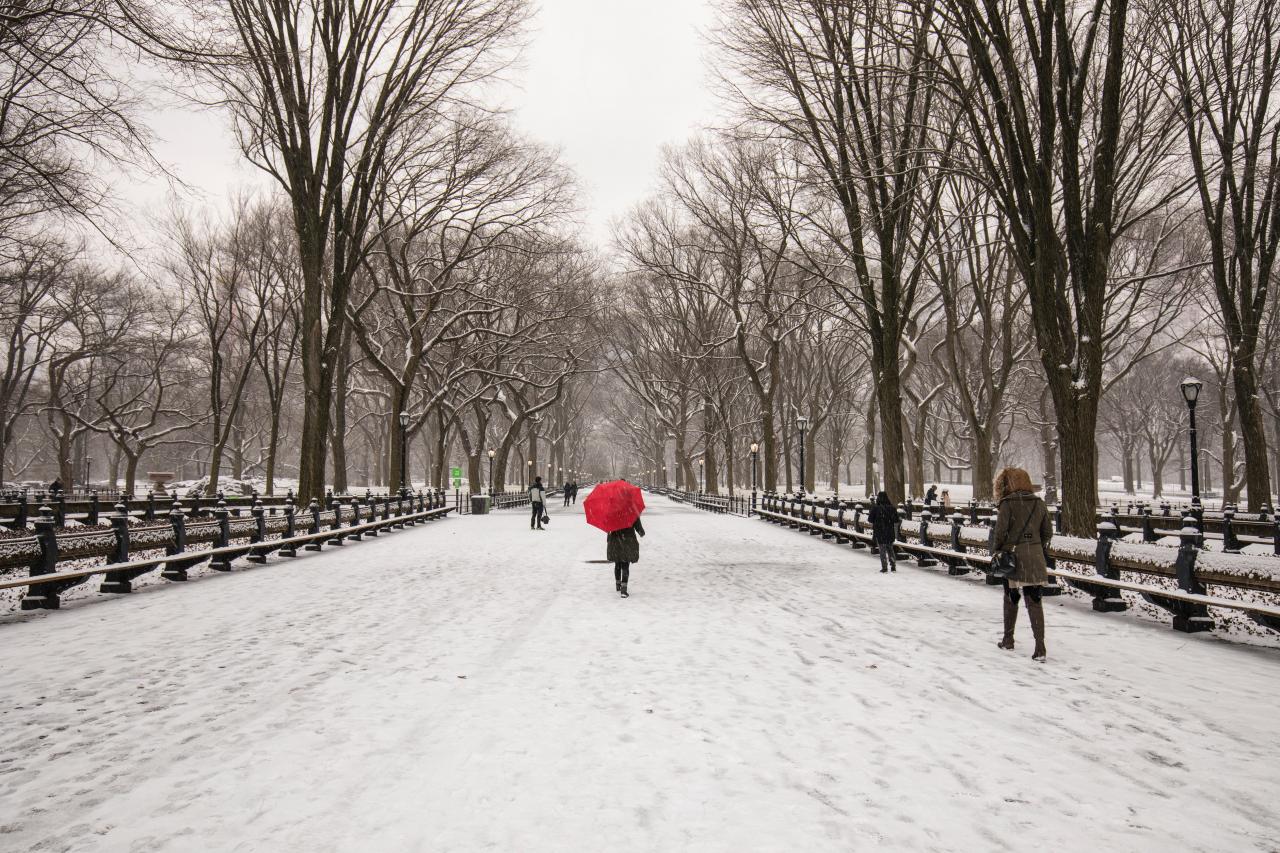 a person in a red coat walks down a snow-covered pathway