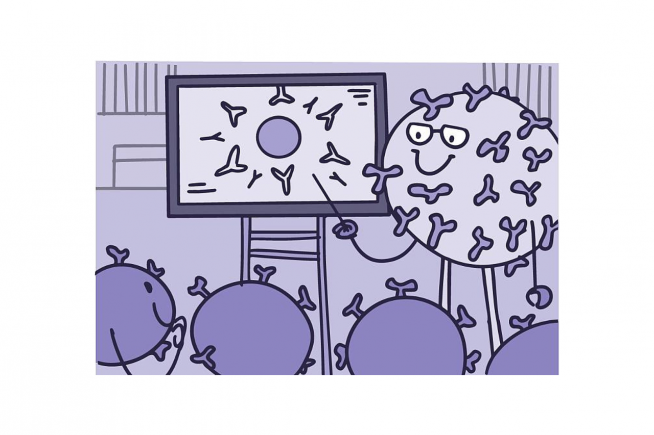 Illustration of immune cells being taught by a teacher in a classroom