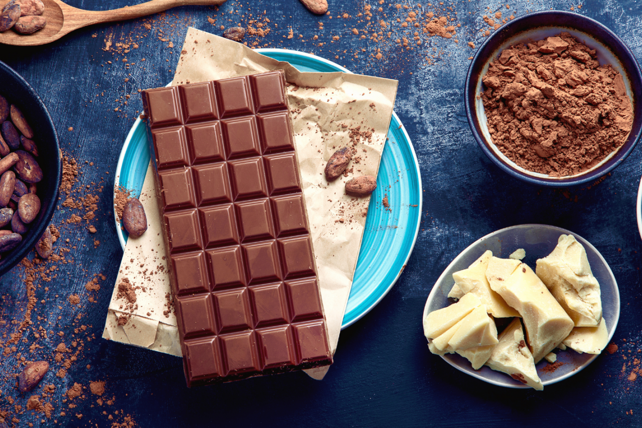 Cacao beans, cacao powder, cacao butter, and chocolate bar on dark background