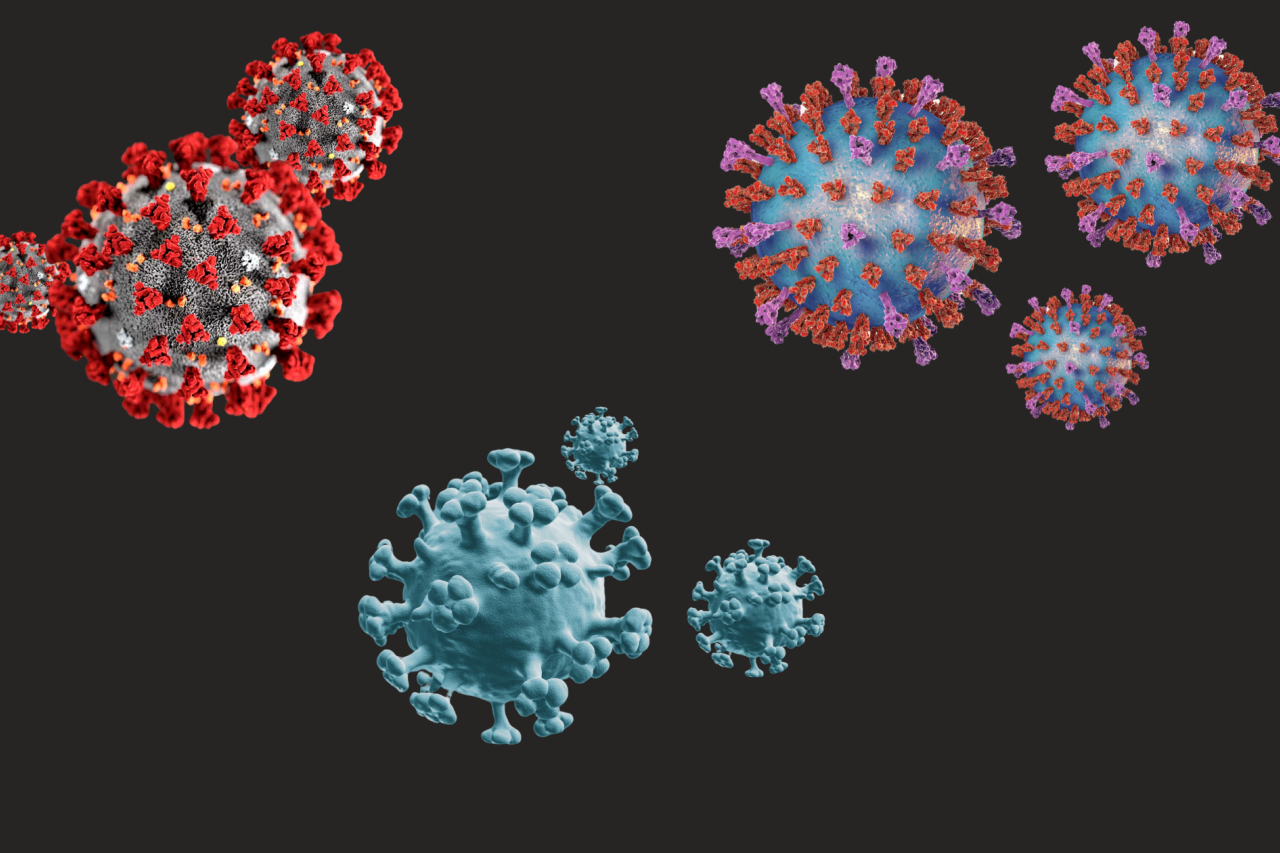 Top left: close up of Covid-19 cells. Top right: close up of RSV cells. Bottom: close up of Flu cells.