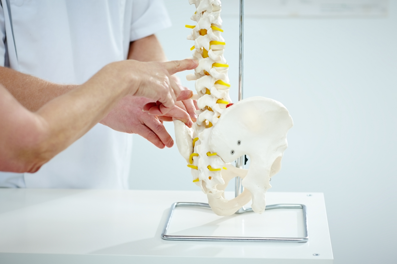 Close up of a chiropractor explaining to patient using plastic model of spine structure and hip bone in medical room