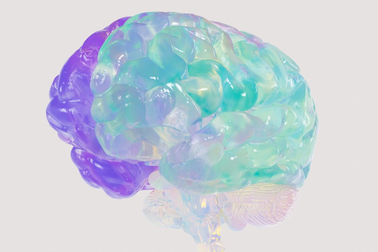 Brain