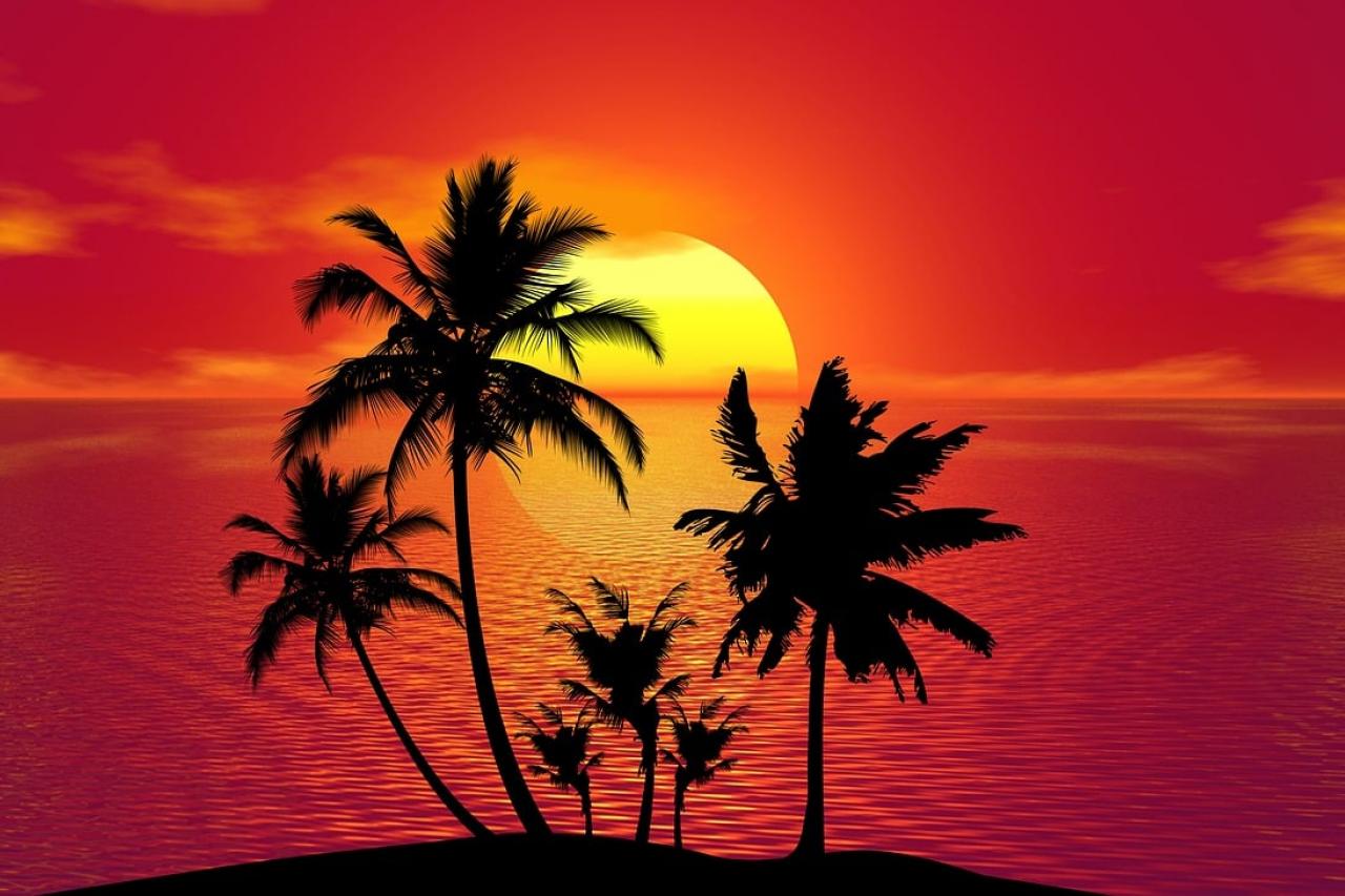 Sun Safety