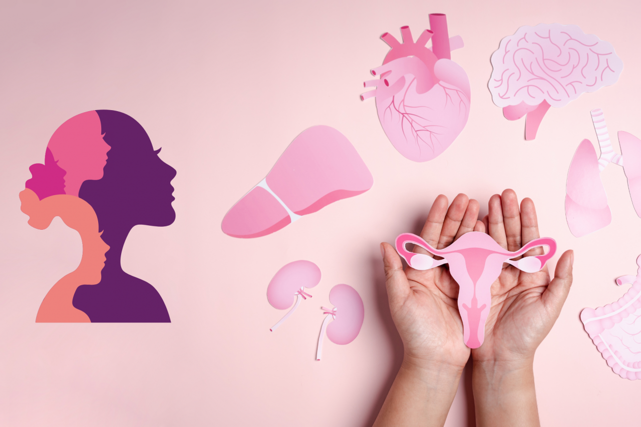 Woman silhouette with hands holding paper uterus that is surrounded by other paper organs.