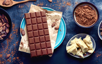 Cacao beans, cacao powder, cacao butter, and chocolate bar on dark background