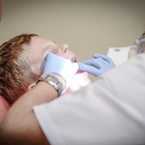 Health Provider - Dentists