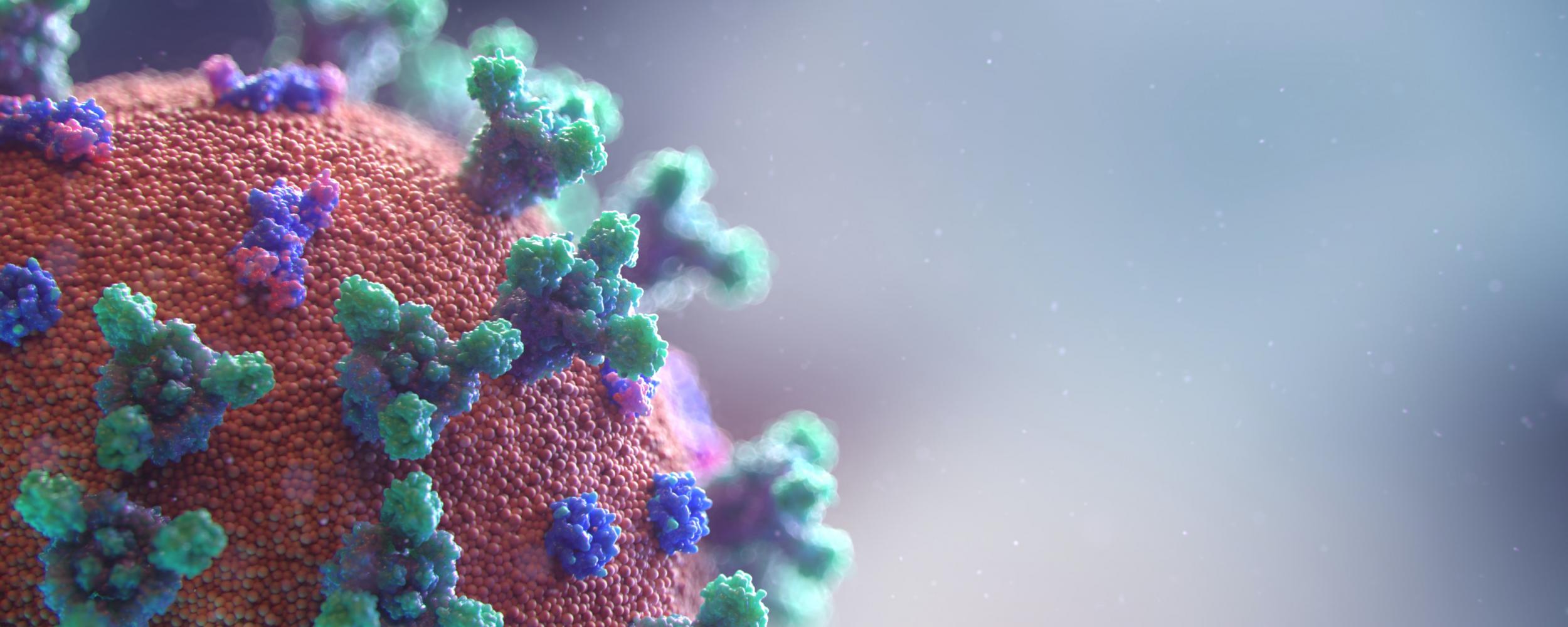 model image of coronavirus