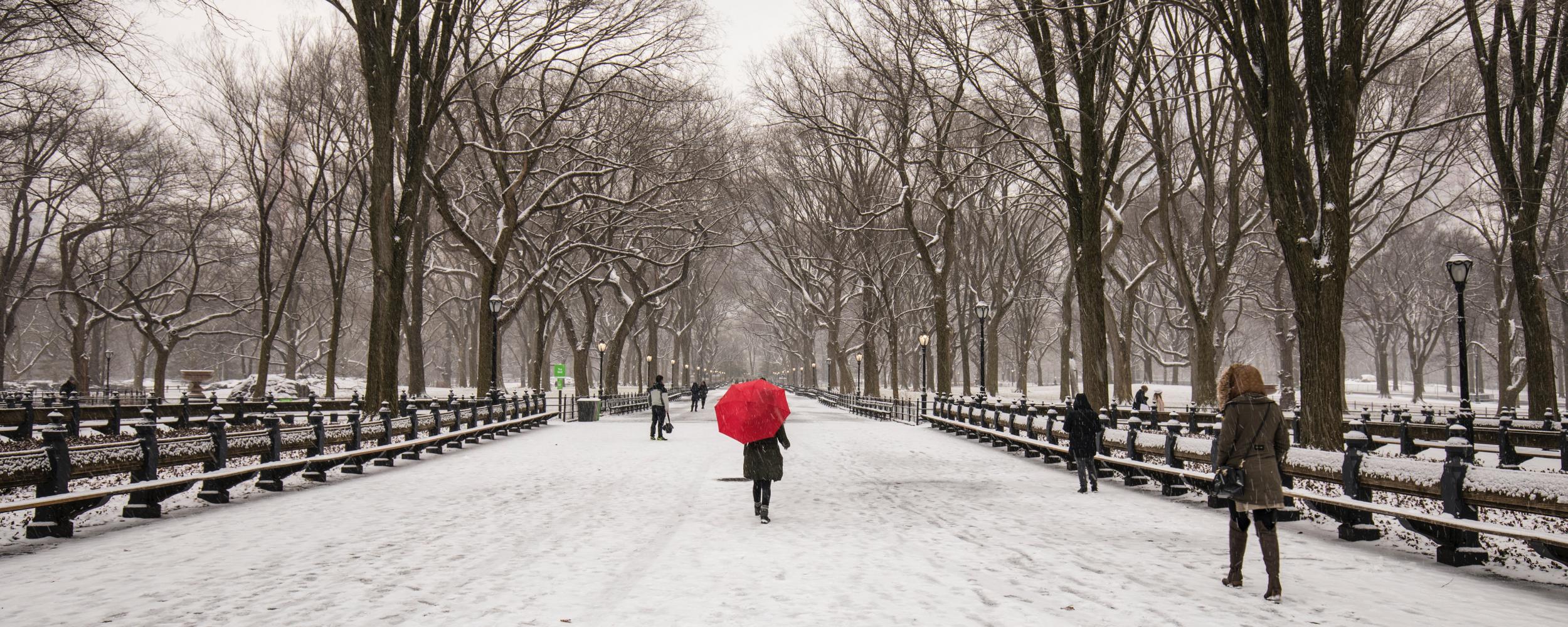 a person in a red coat walks down a snow-covered pathway