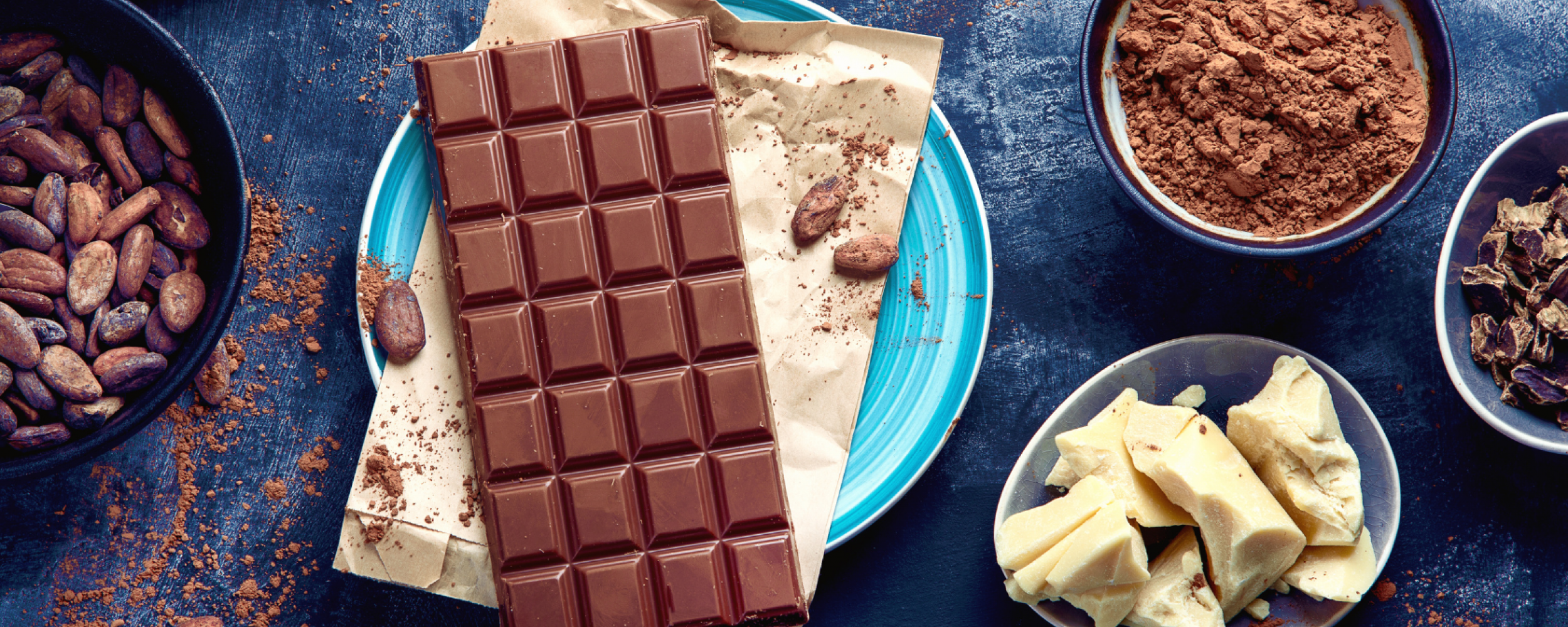 Cacao beans, cacao powder, cacao butter, and chocolate bar on dark background