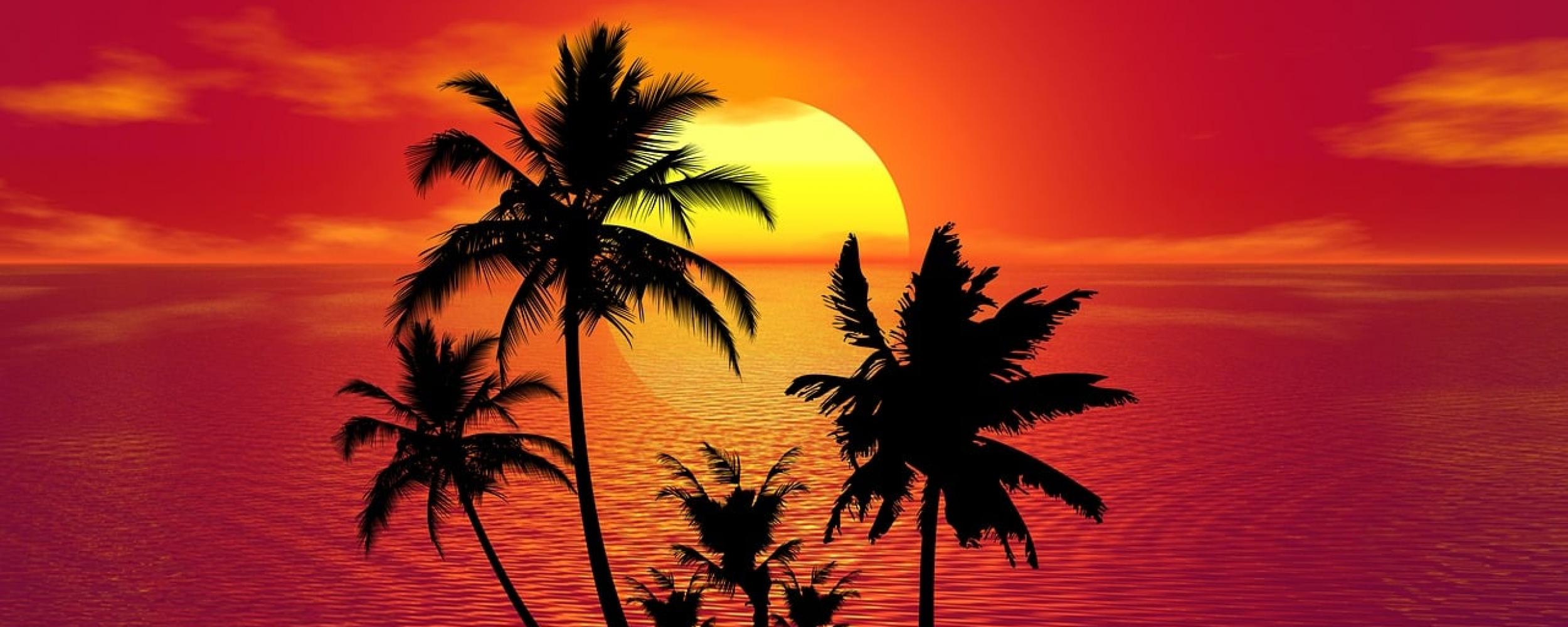 Sun Safety