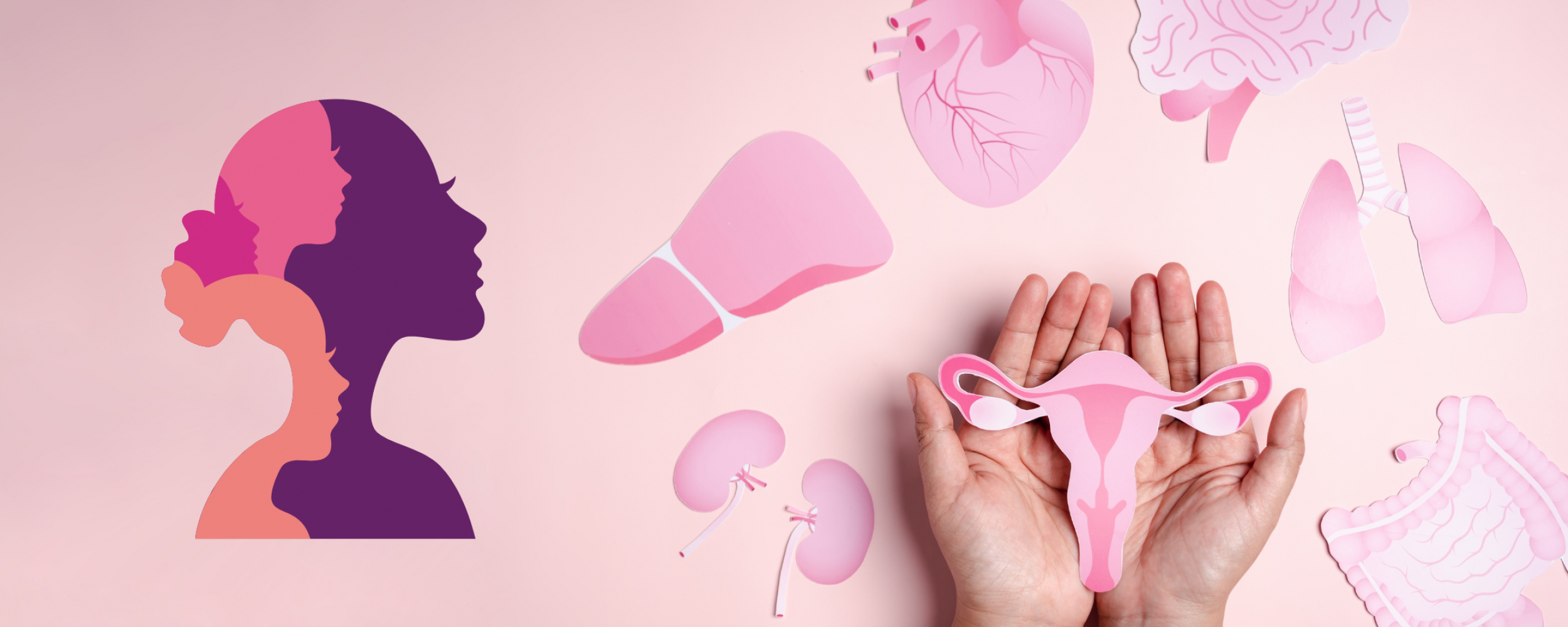 Woman silhouette with hands holding paper uterus that is surrounded by other paper organs.