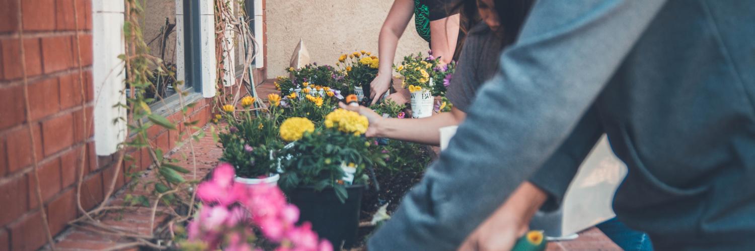 Horticultural Therapy