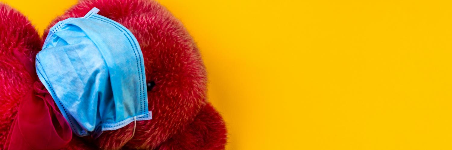 bear wearing a mask