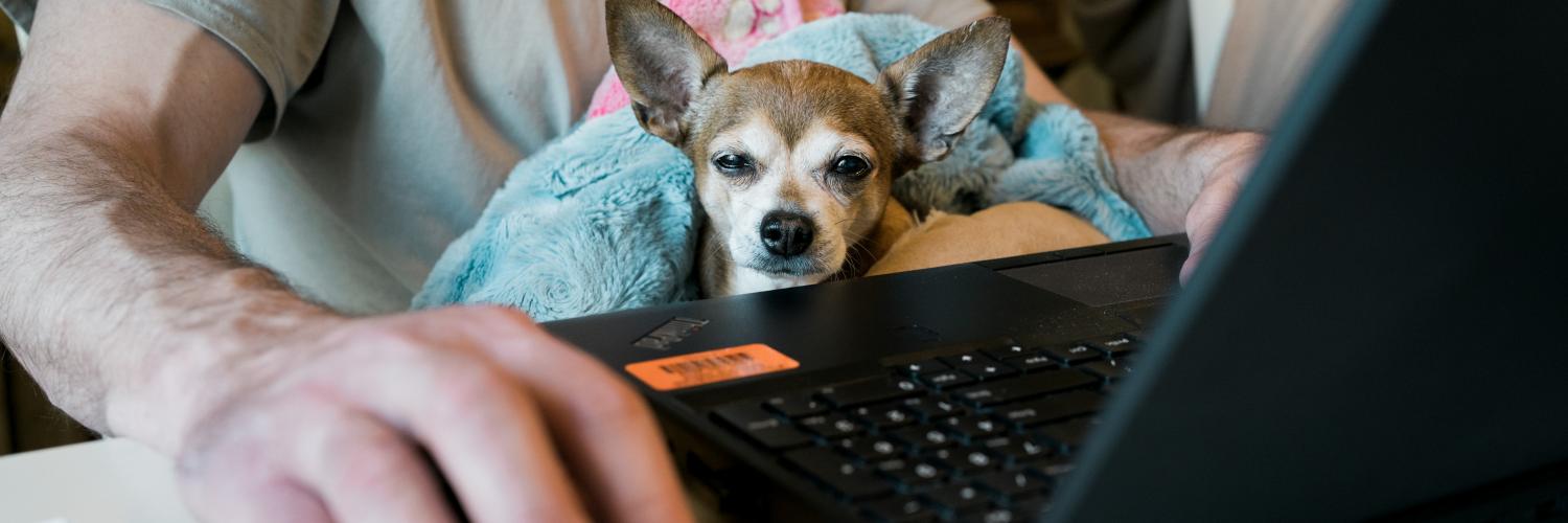 working from home