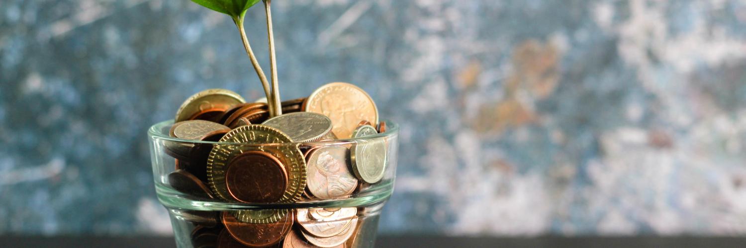 plant growing out of a pot of pennies