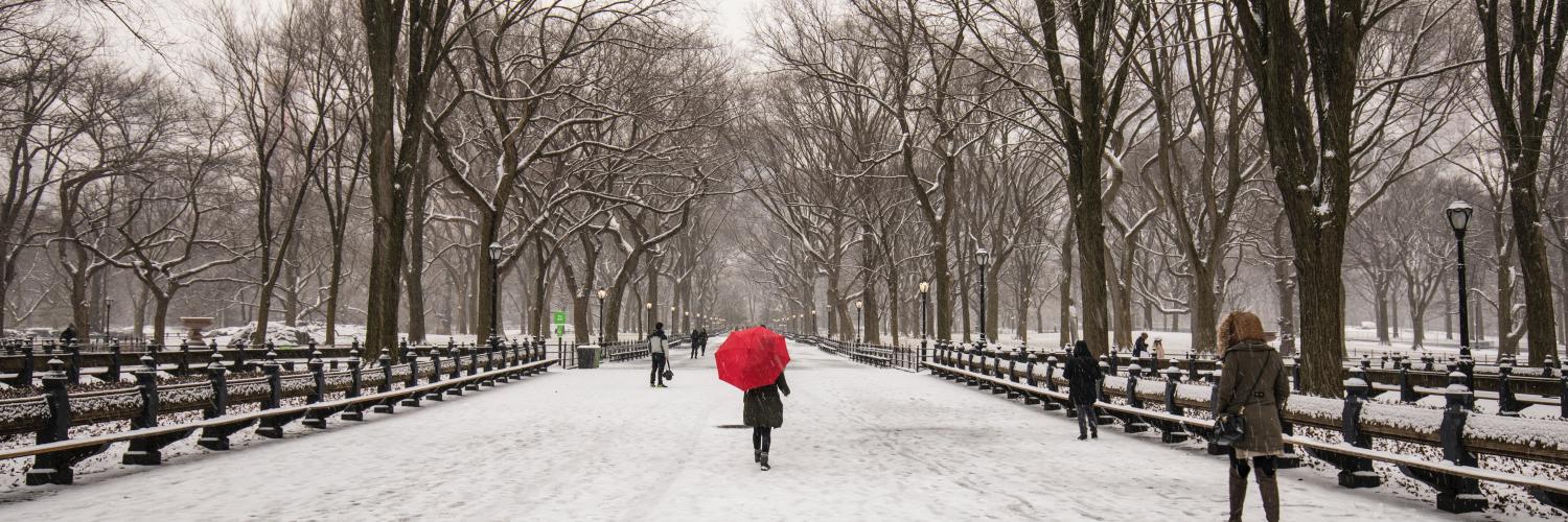 a person in a red coat walks down a snow-covered pathway