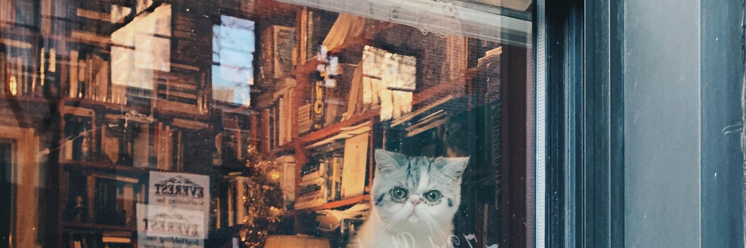 Two cats looking out a window while in quarantine.