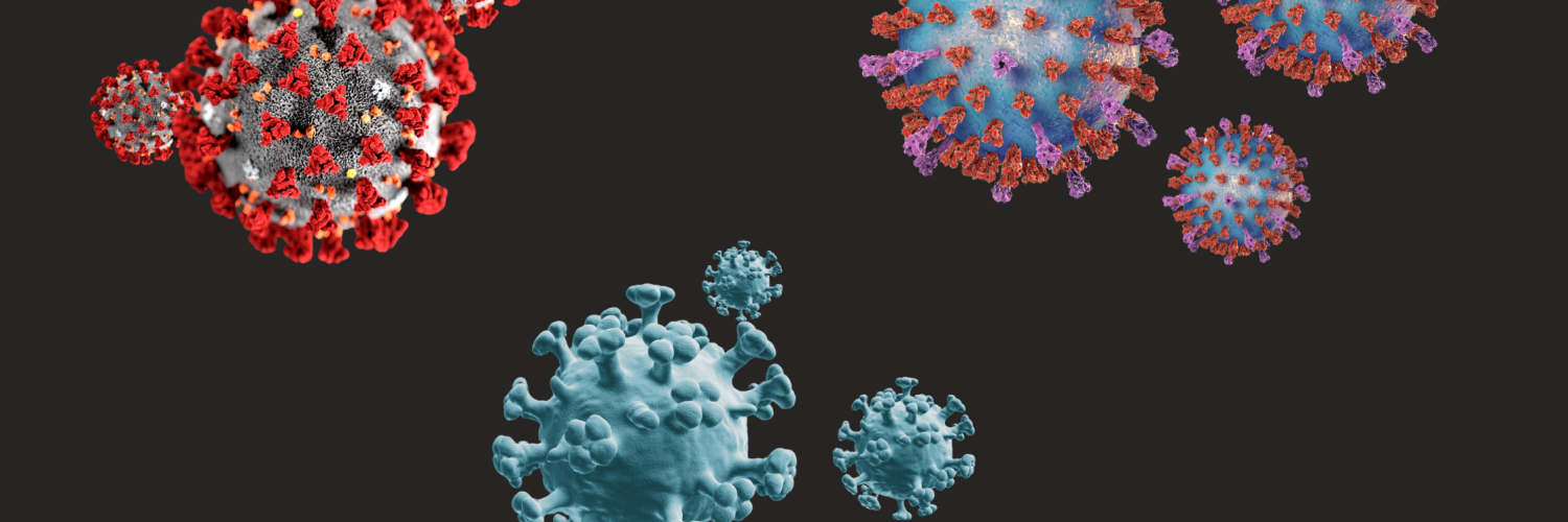 Top left: close up of Covid-19 cells. Top right: close up of RSV cells. Bottom: close up of Flu cells.