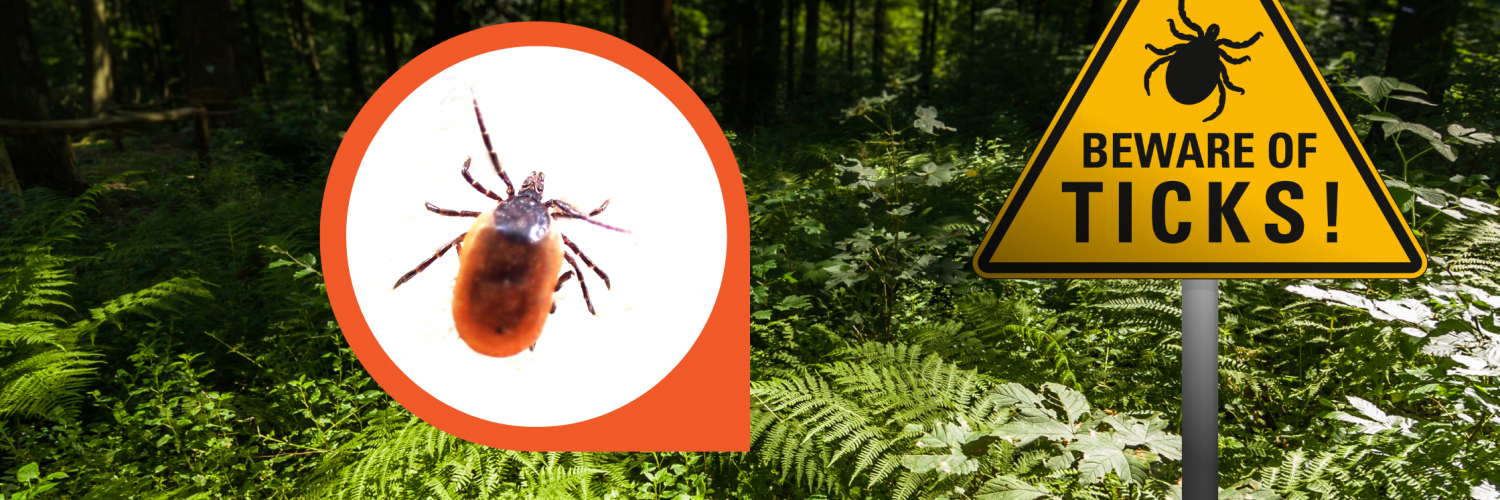alert sign posted in the middle of wooded area stating “beware of ticks”, with a zoomed in picture of a live tick beside it