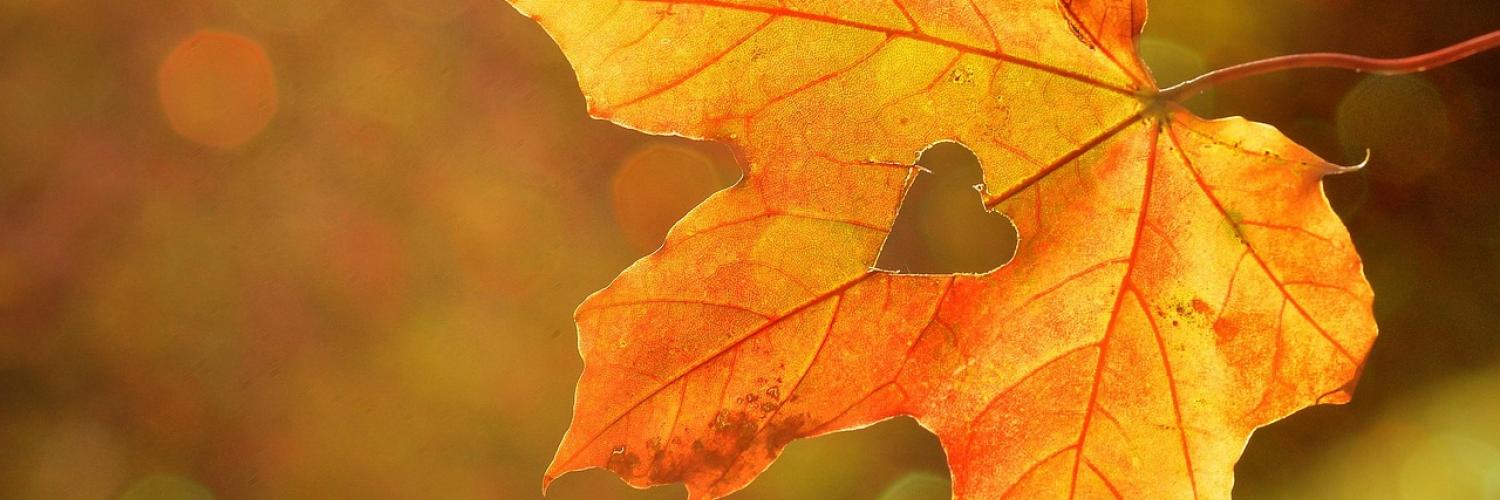 Image of an autumn yellow orange leaf with a heart-shaped hole in the middle.