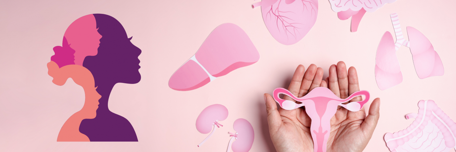 Woman silhouette with hands holding paper uterus that is surrounded by other paper organs.